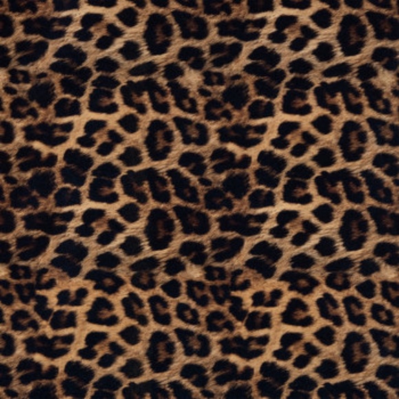 Meet your Posher, Rio - Picture 1 of 1